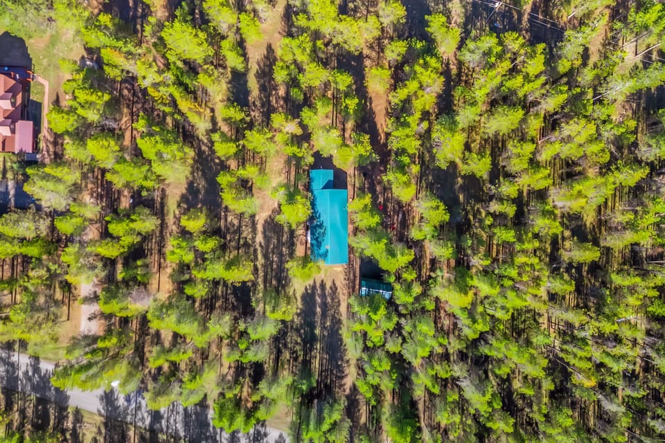 Aerial View of the cabin- green roof
