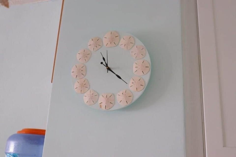 IMG 3520