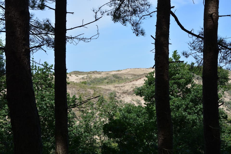 Surroundings [summer] (1-5 km)