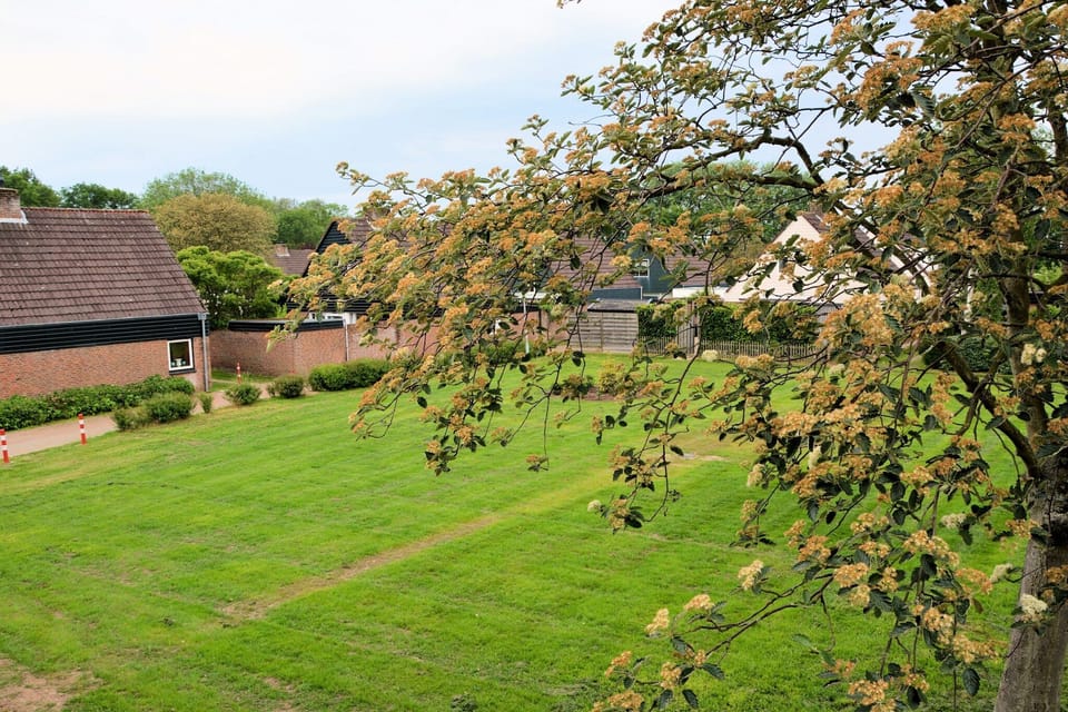 View from Holiday Home [summer]