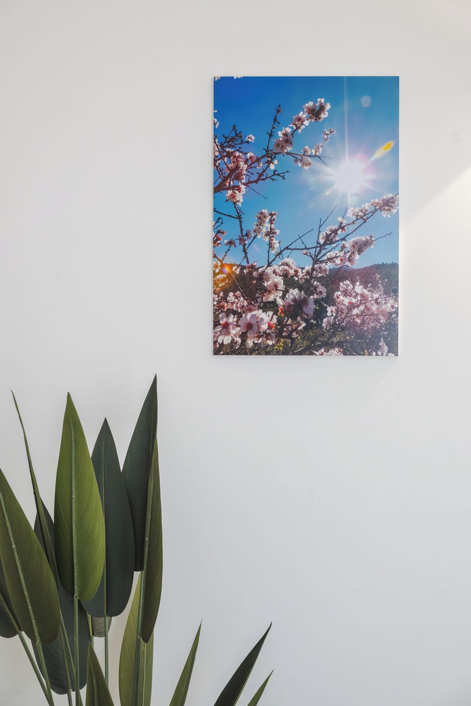 Deluxe Apartment | Interior detail