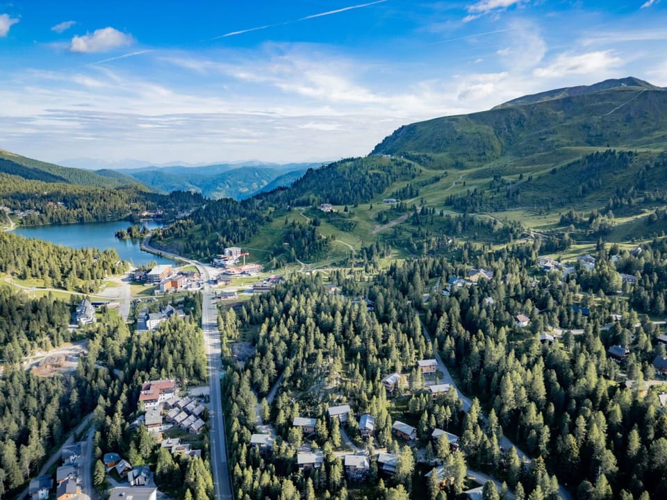 Tree, Mountainous Landforms, Landscape, Mountain, Bird'S-Eye View, Hill, Highland, Bank, Aerial Photography, Mountain Range