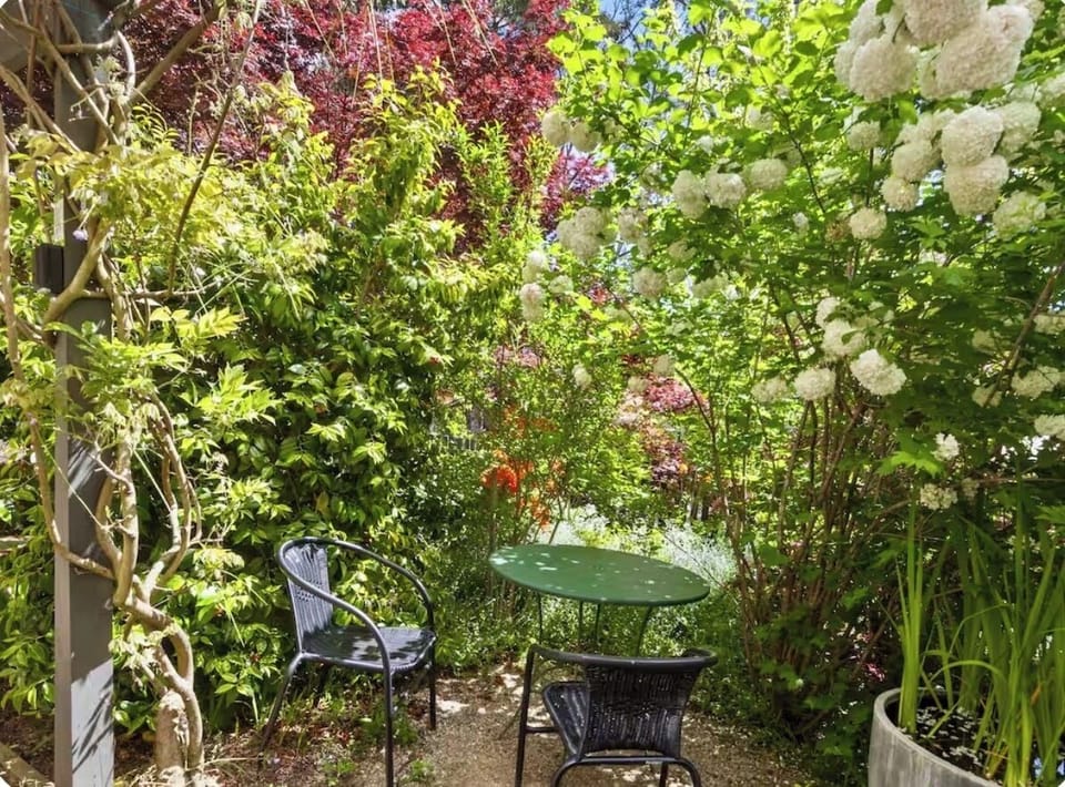The garden in Spring