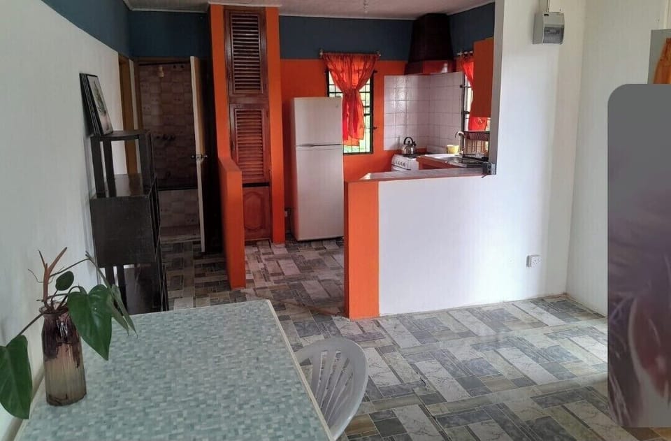 Full-size fridge, microwave, oven, stovetop