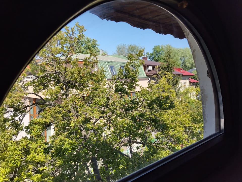 living room window view