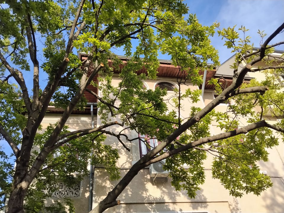 front view of the top floor apartment