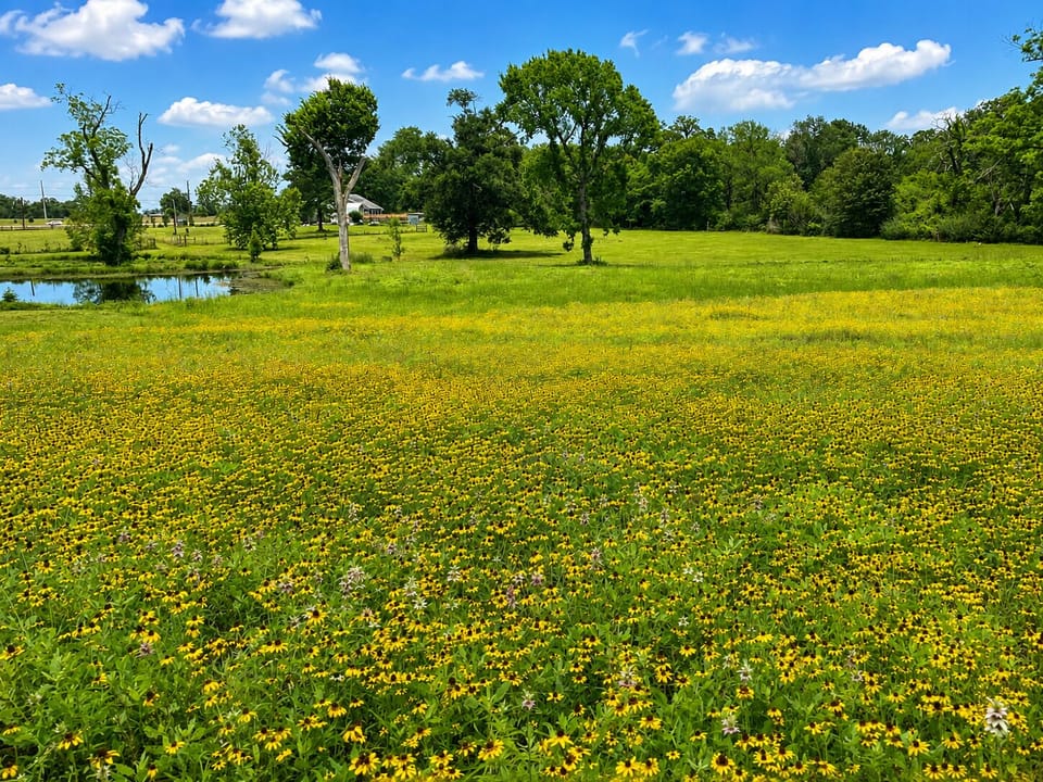 5 acres with two ponds