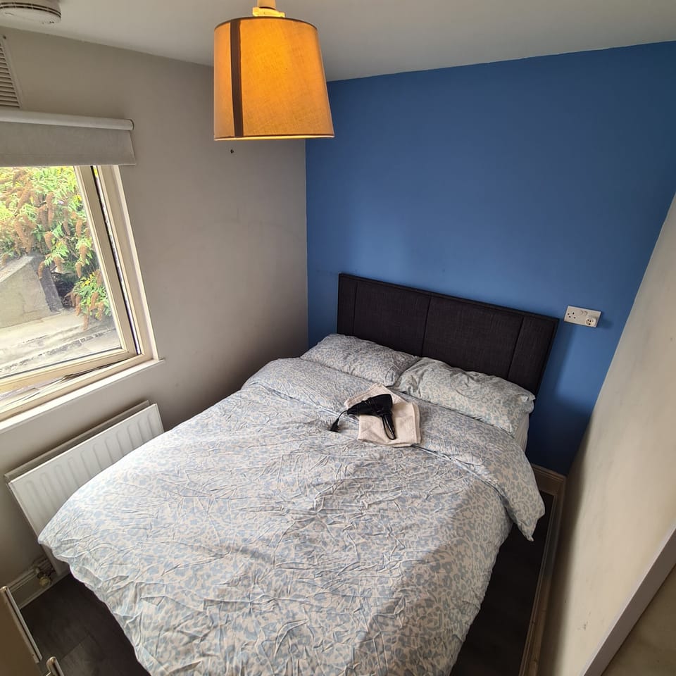 Cozy double bedroom with natural light and a bold blue accent wall