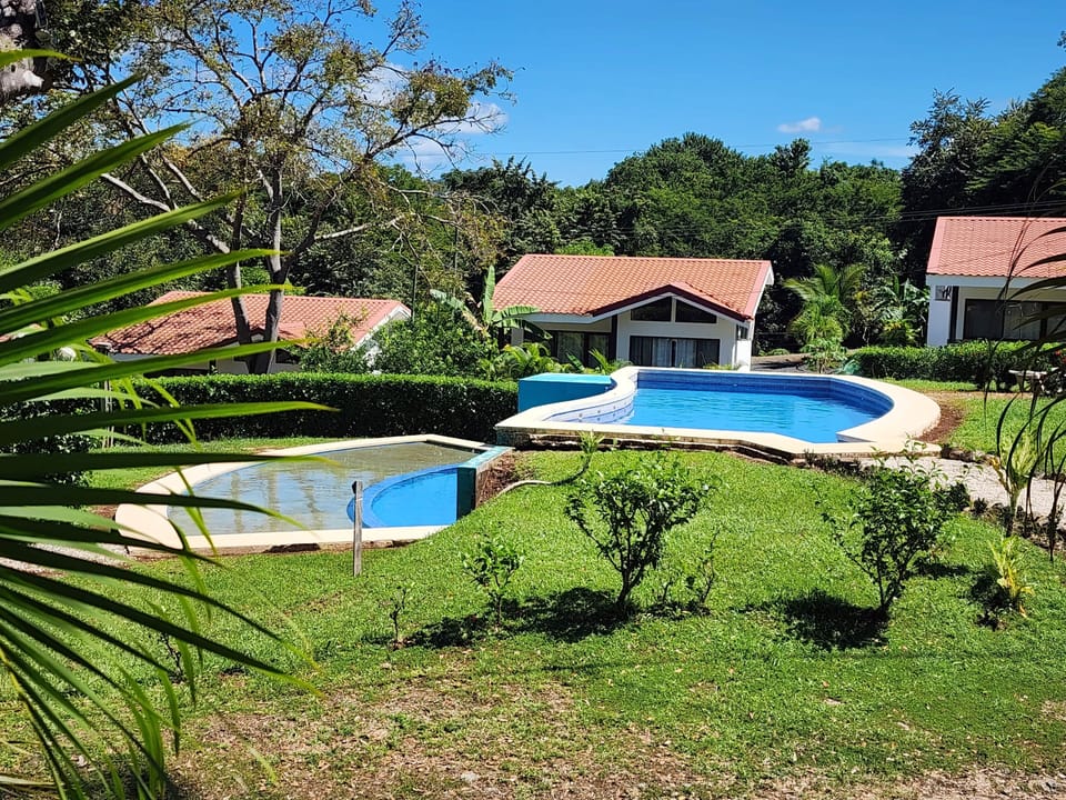 Eco Lagarto pool 3