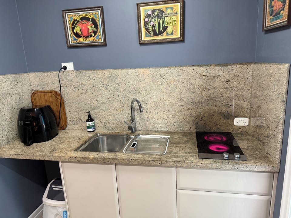 twin kitchen sink and 2 burner electric stove air fryer has been upgraded