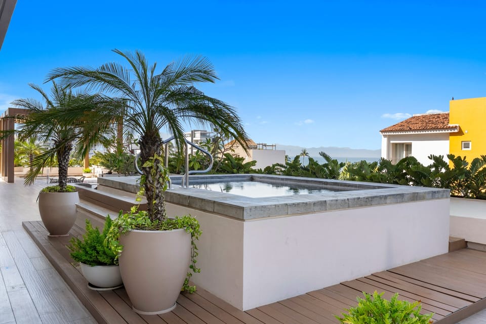 Lush outdoor terrace featuring woven seating groups, coffee tables, potted tropical greenery, towering palm trees, and clear blue sky views.
