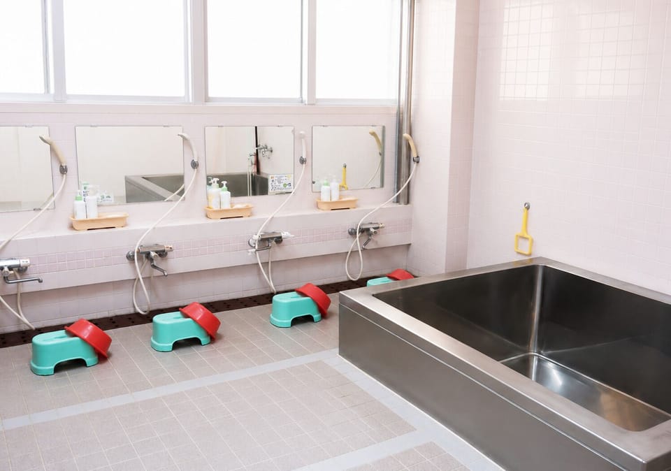 Hair dryer, soap, shampoo, toilet paper