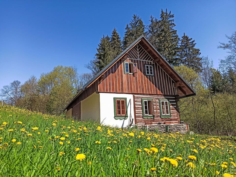 Tree, Grass, Building, House, Home, Cottage, Roof, Rural Area, Land Lot