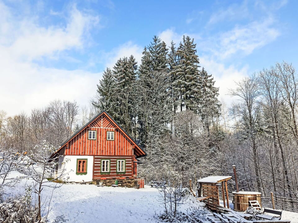 Tree, House, Wood, Home, Cottage, Winter, Roof, Snow, Rural Area, Freezing