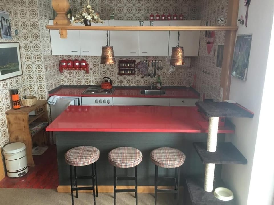 Apartment, Balcony, Garden View | Private kitchen