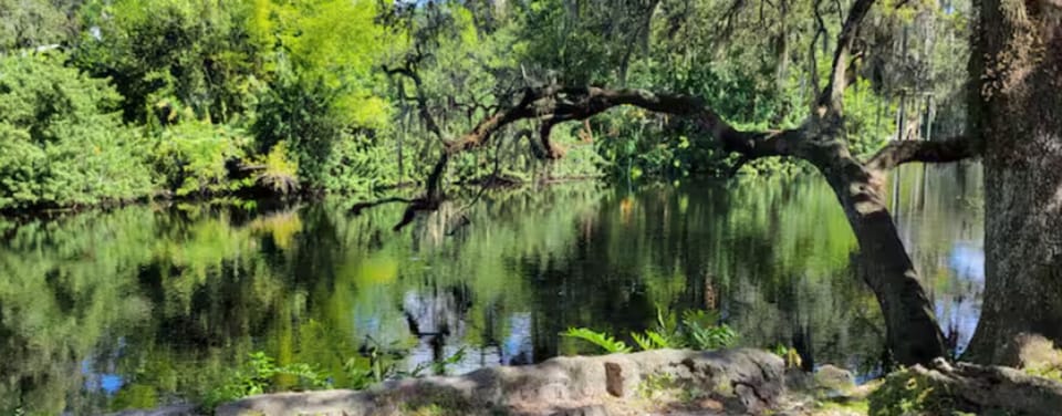 5 min walk to the Hillsborough River