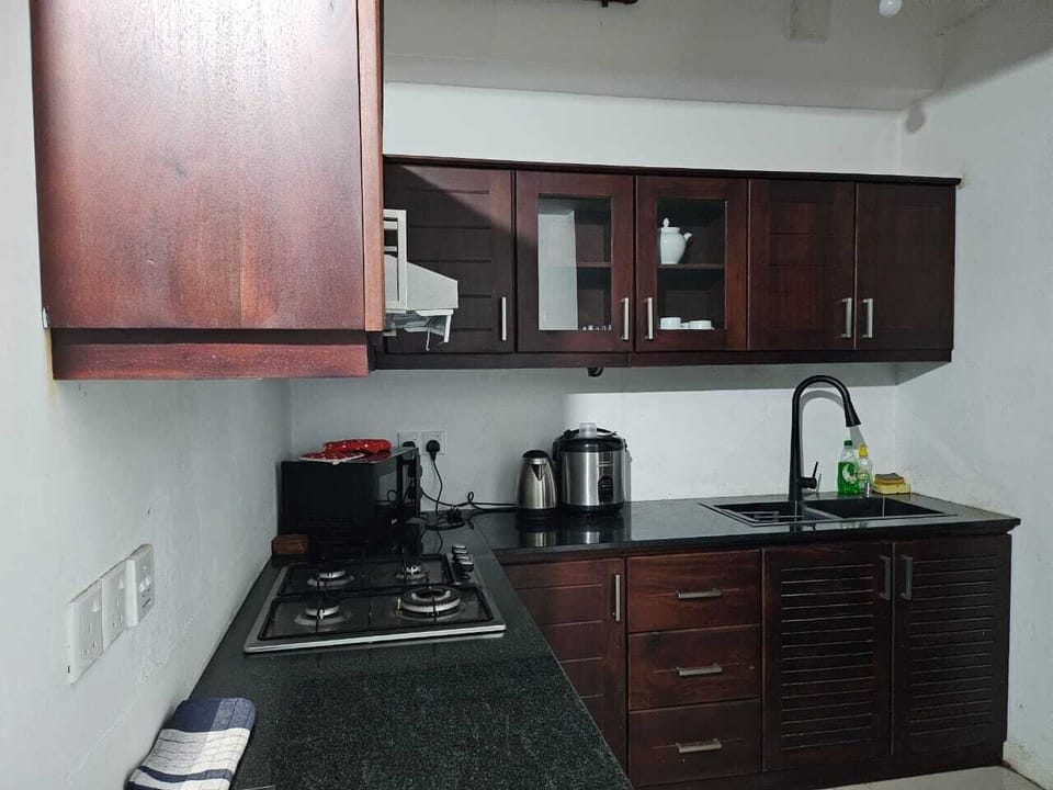 Basic Apartment, Balcony, City View | Private kitchen | Shared microwave