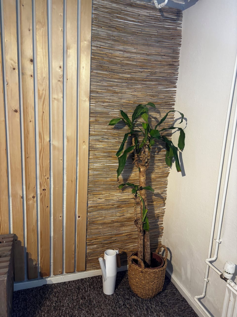 Apartment, 1 Bedroom, Garden View | Interior