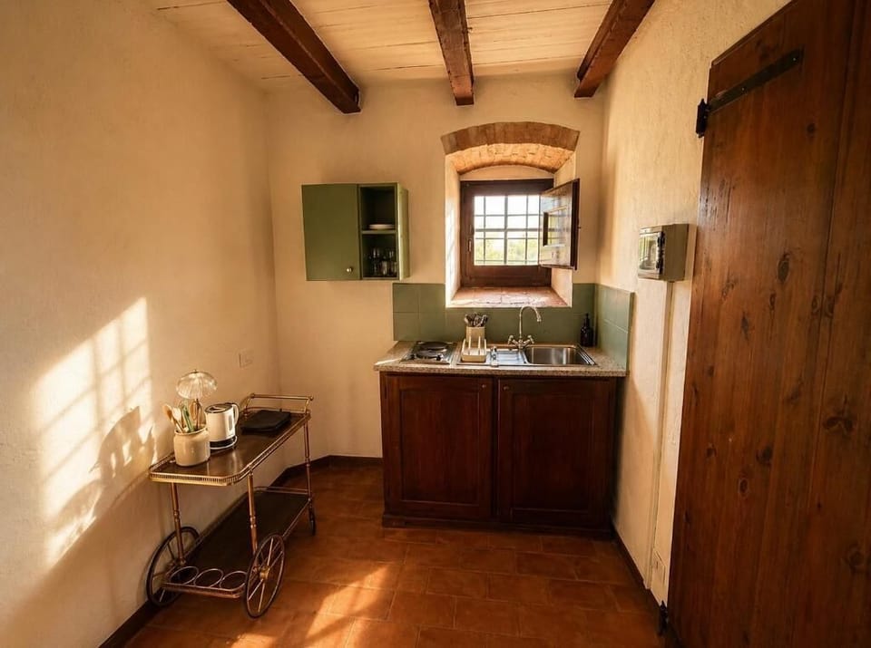 Apartment, Air conditioning, Garden View | Private kitchen