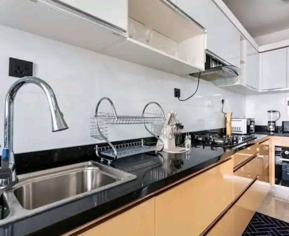 Classic Apartment, Balcony, City View | Private kitchen | Coffee/tea maker, full-size fridge, microwave, oven