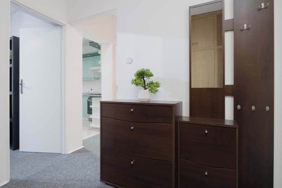 A hallway with a chest of drawers and a wardrobe provides convenient storage space. The entrance area is bright and functional.