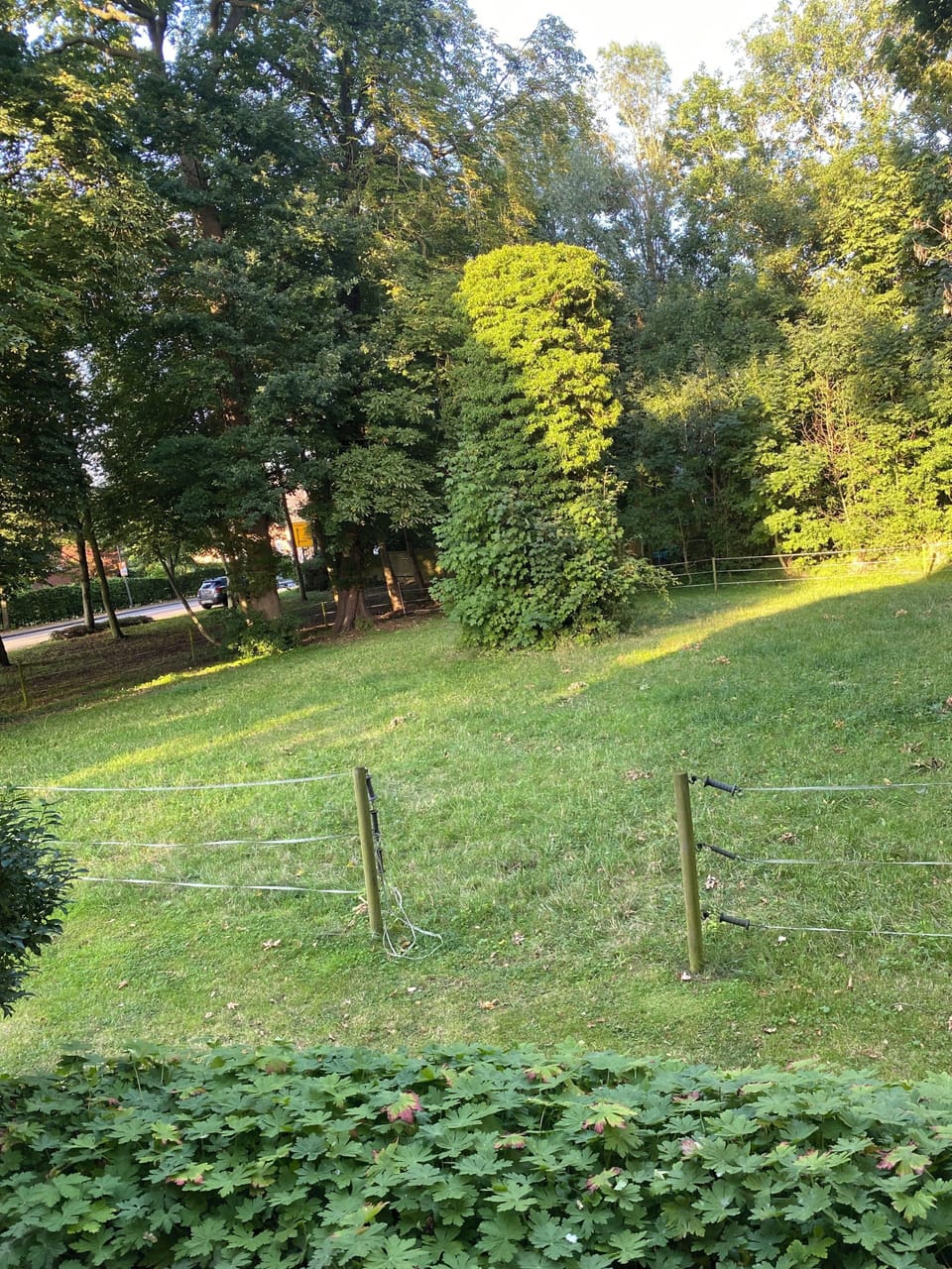 Property grounds