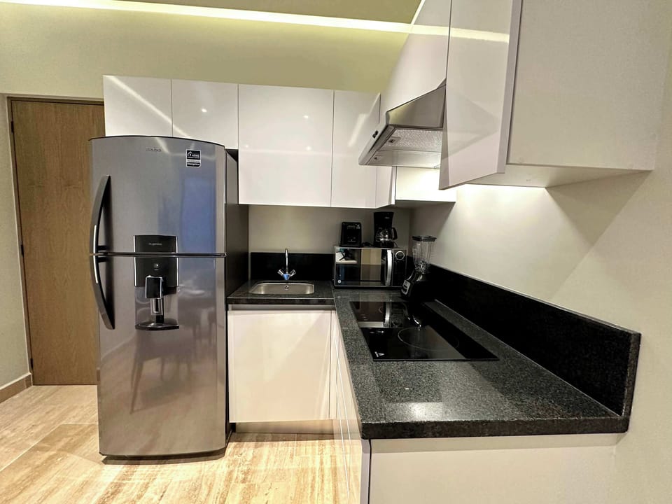 Fully equipped kitchen with fridge and induction stove
