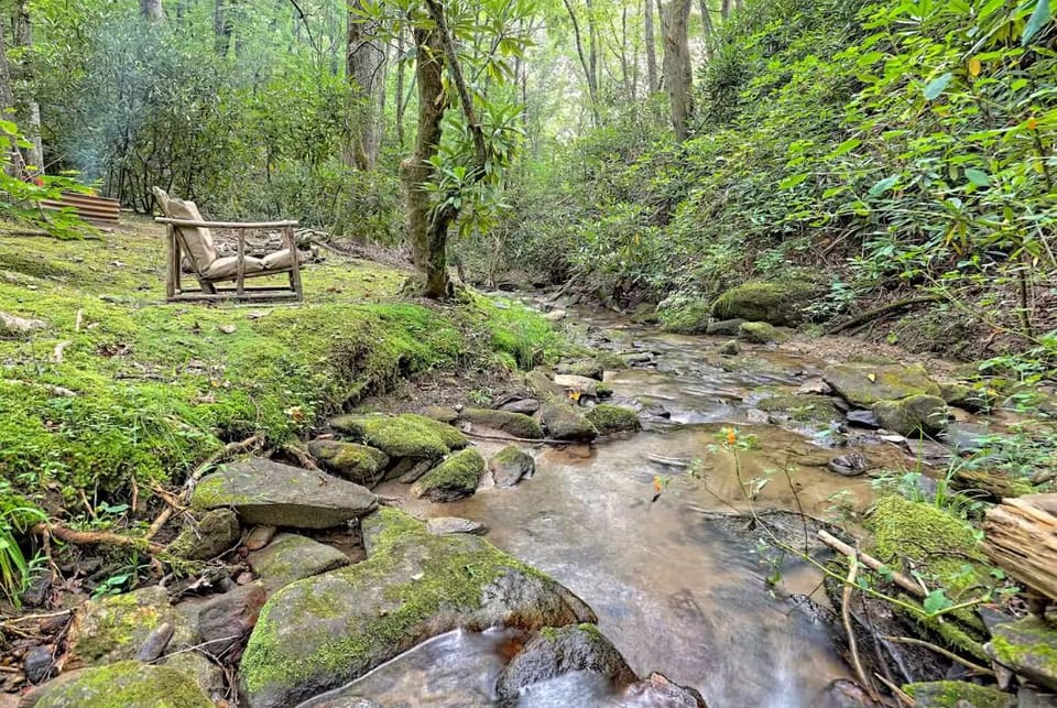 Private forest creek with rustic seating and peaceful nature views