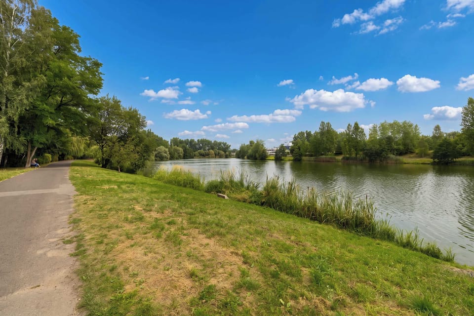 Peaceful walking path along a lake, surrounded by green grass, trees, and beautiful natural scenery.