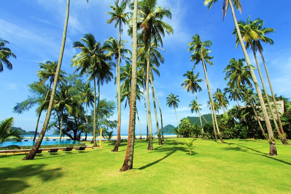 Studio, 1 Bedroom, Balcony, Ocean View | Property grounds