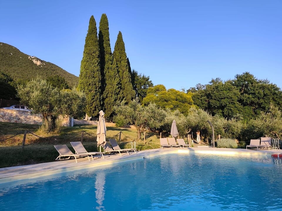 Autumn, Pool, Spring, Summer