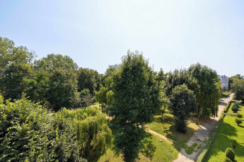 An elevated outdoor landscape view looking out over a dense, green canopy of trees and parkland under a bright sky.