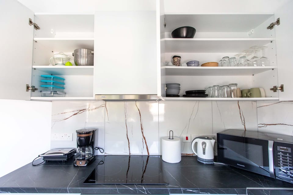 Apartment, 1 Double Bed with Sofa bed, Kitchen, City View | Private kitchen | Coffee/tea maker, full-size fridge, microwave, oven