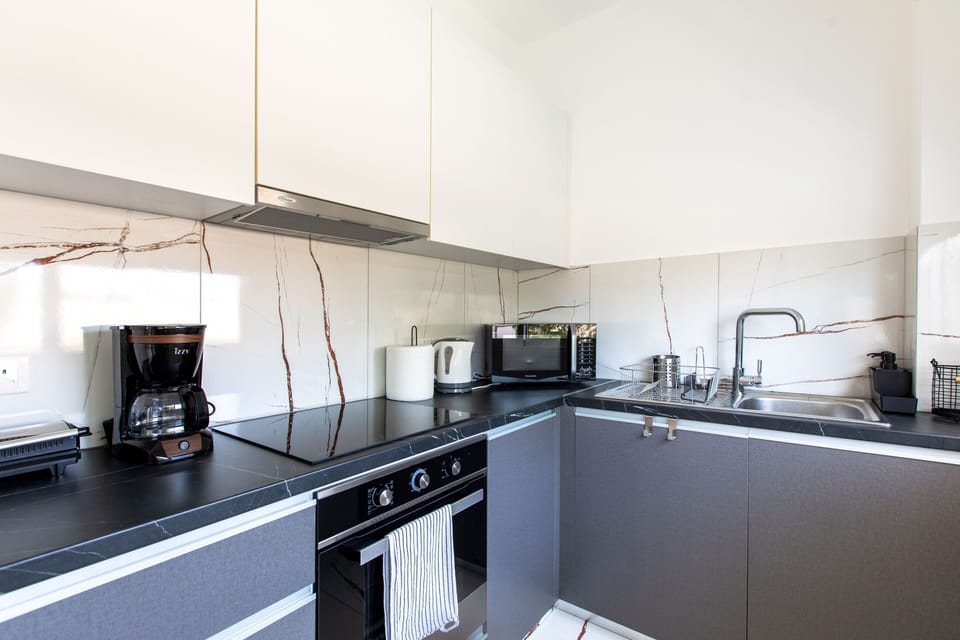 Apartment, 1 Double Bed with Sofa bed, Kitchen, City View | Private kitchen | Coffee/tea maker, full-size fridge, microwave, oven