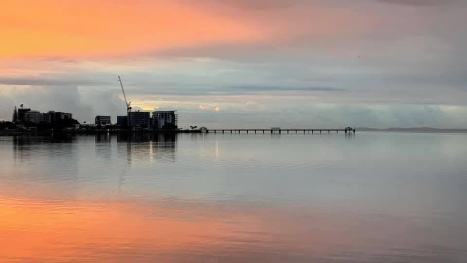 woody point