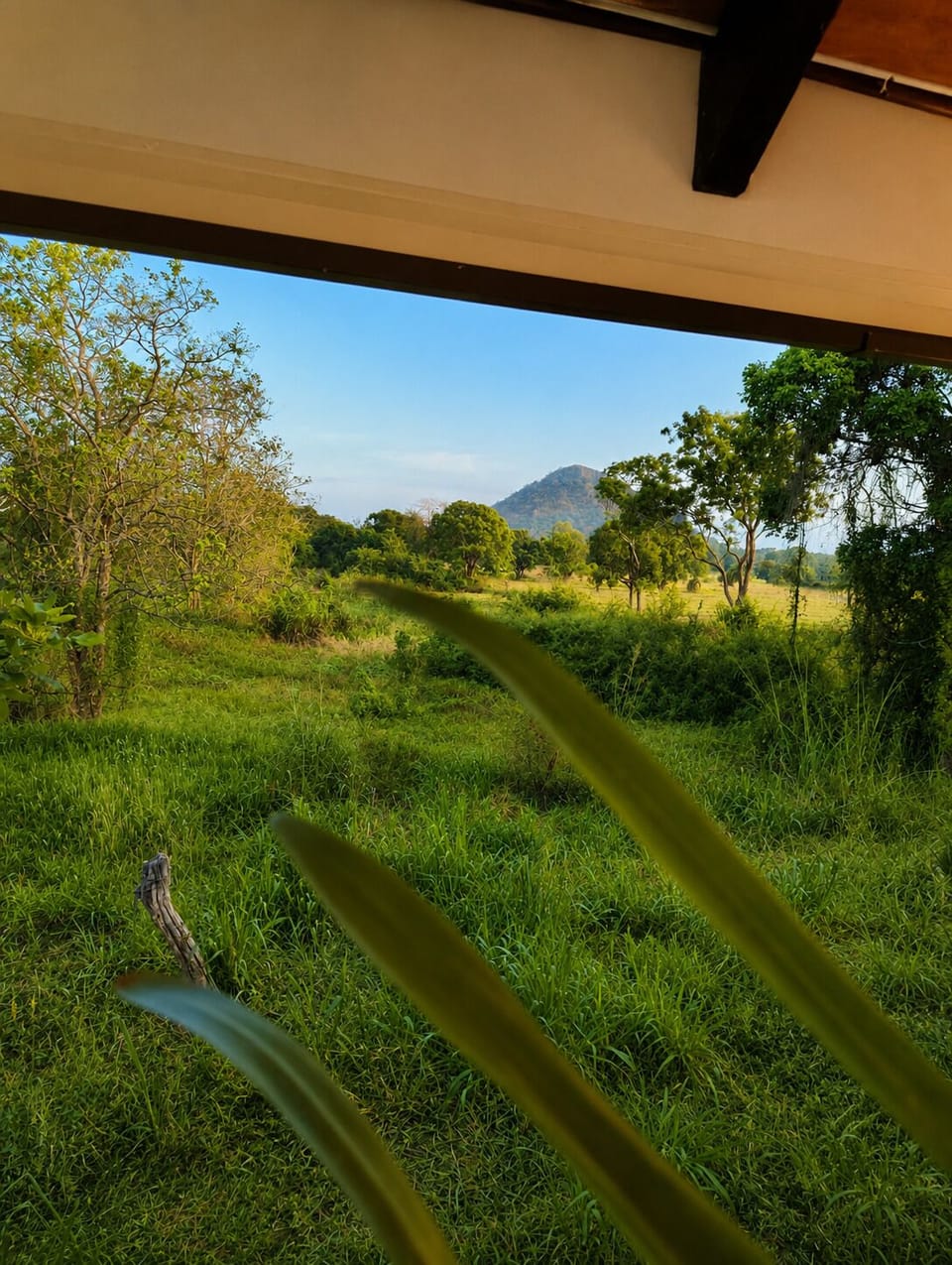 View from property