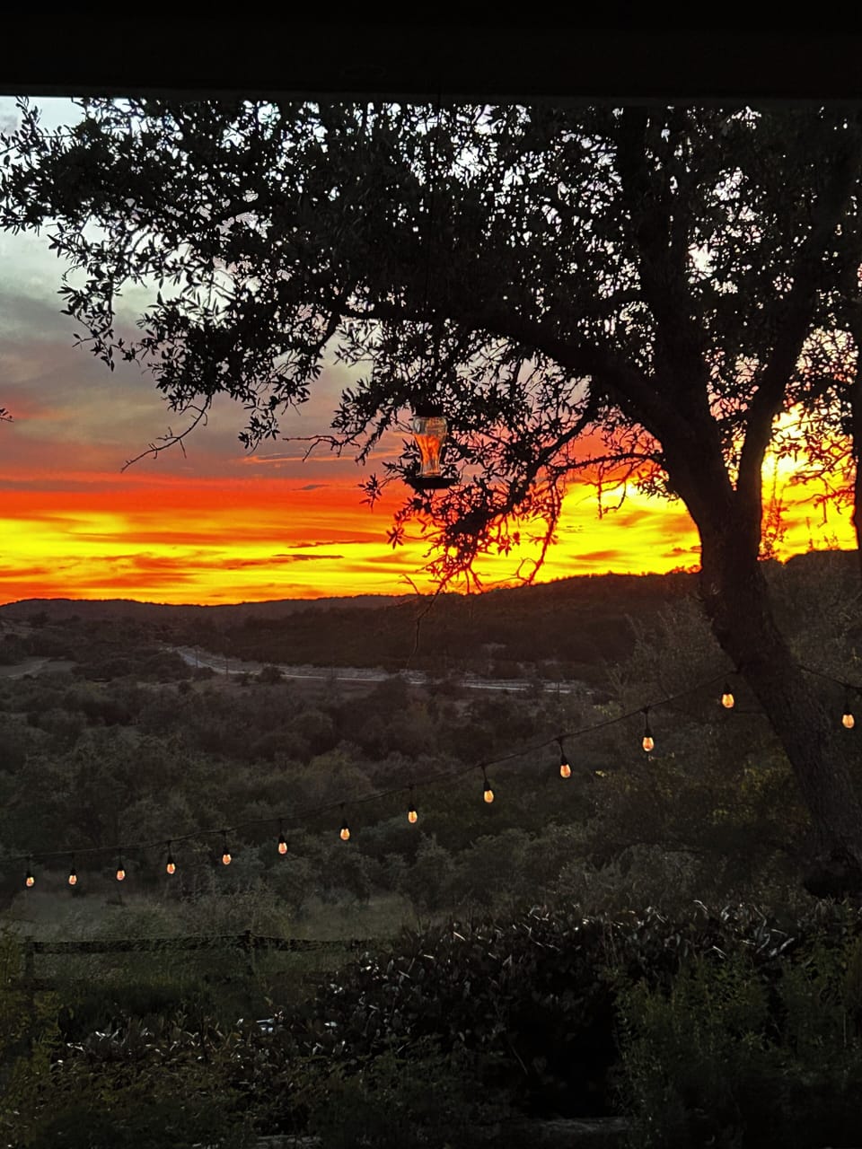 View from property