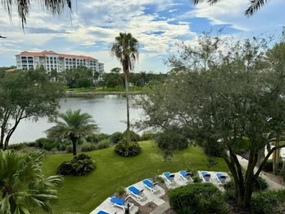 Community pool area surrounded by palms — sun loungers and shade for the whole group