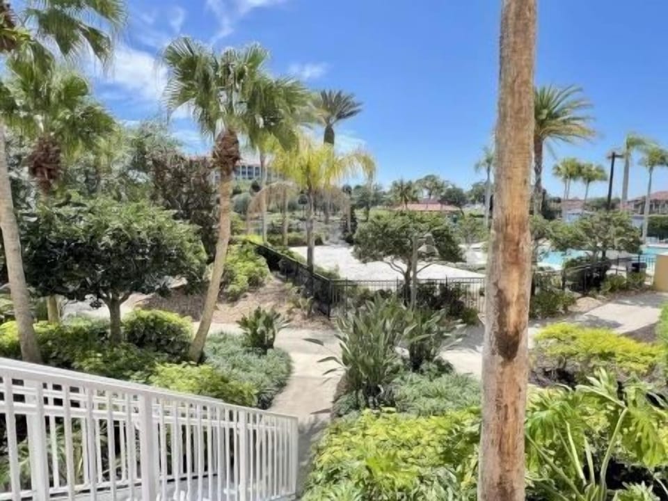 Pathway through lush palms and greenery leading to the pool area under a bright blue sky