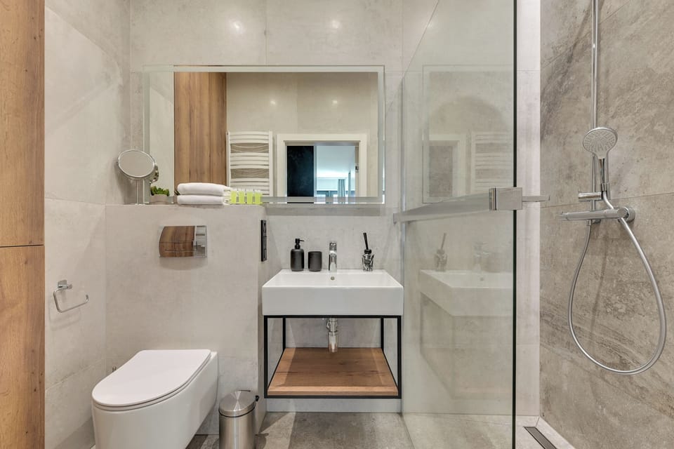 Deluxe Apartment | Bathroom