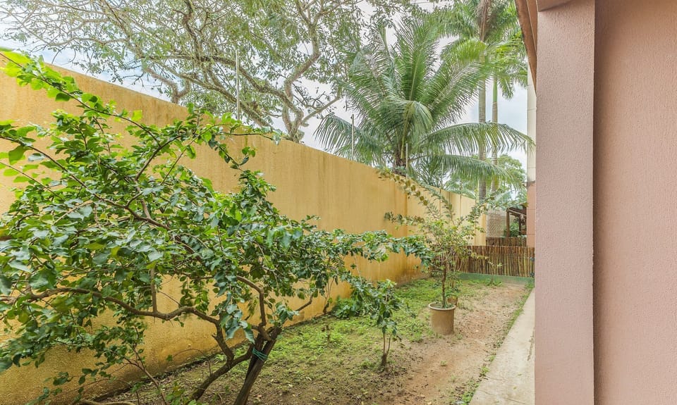 Basic Apartment | Property grounds