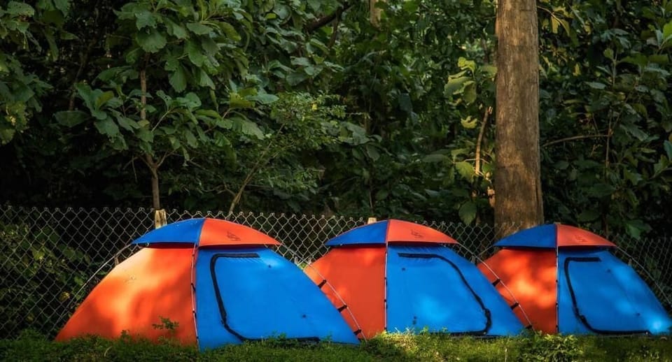 Basic Tent | Property grounds