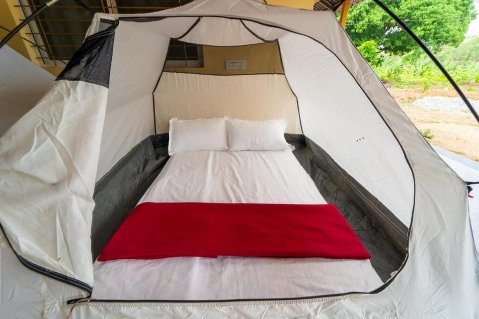 Basic Tent