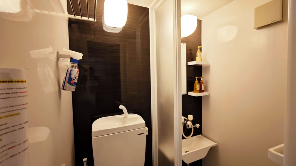 Basic Triple Room | Bathroom | Shower, hair dryer, towels, soap
