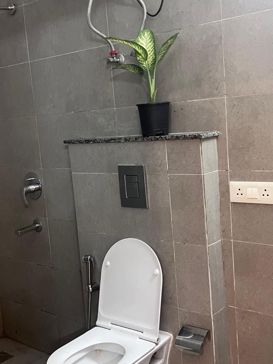 Shower, towels