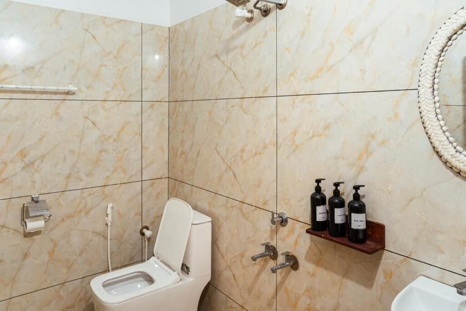Shower, towels, toilet paper