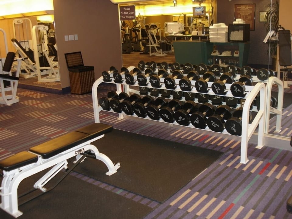 Fitness Center • Weight Area