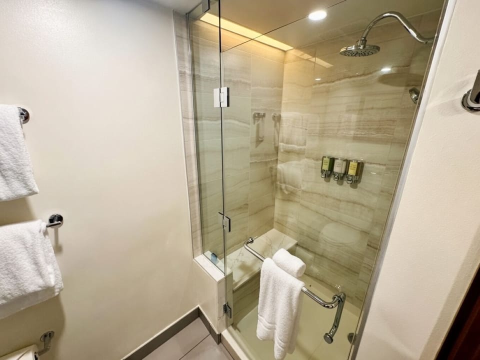 Primary Bathroom • Walk-In Shower