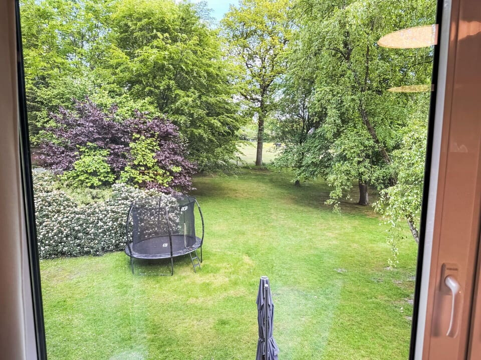 Leaf, Grass, Vegetation, Shrub, Garden, Land Lot, Lawn, Groundcover, Shade, Spring