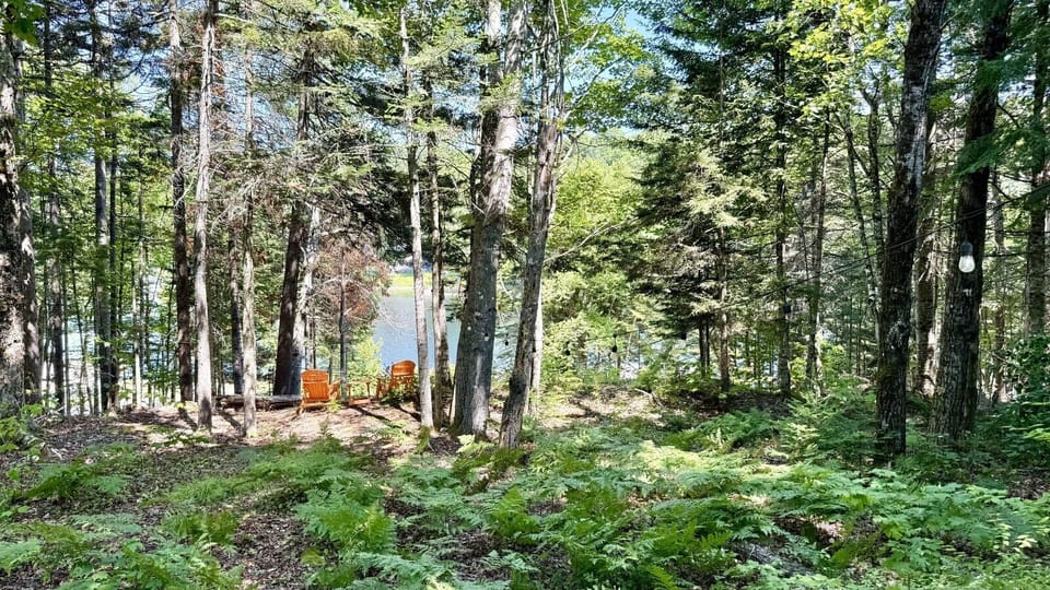Unwind in Adirondack chairs beneath the trees and take in peaceful waterfront views surrounded by nature.